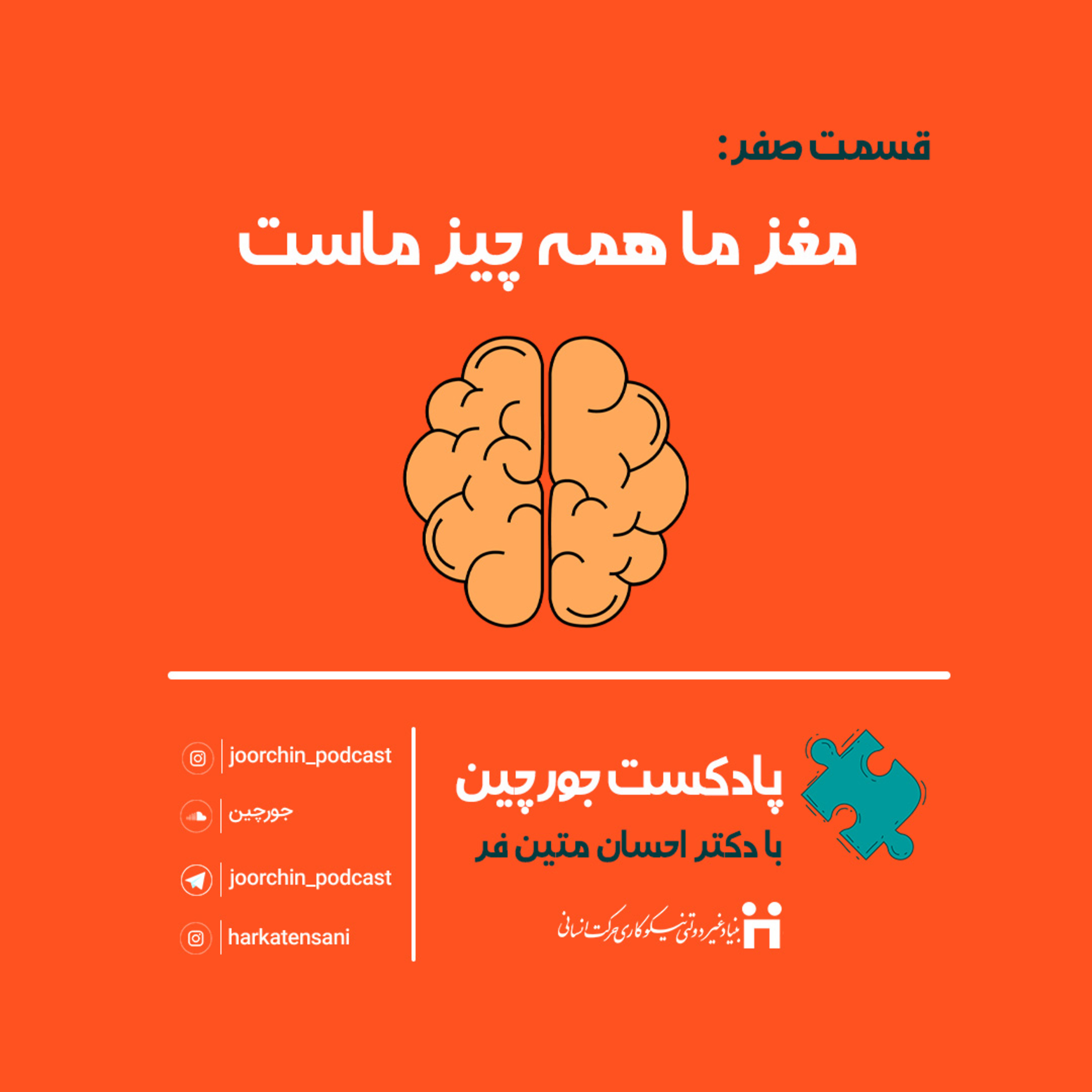 مغز ما همه چیز ماست!