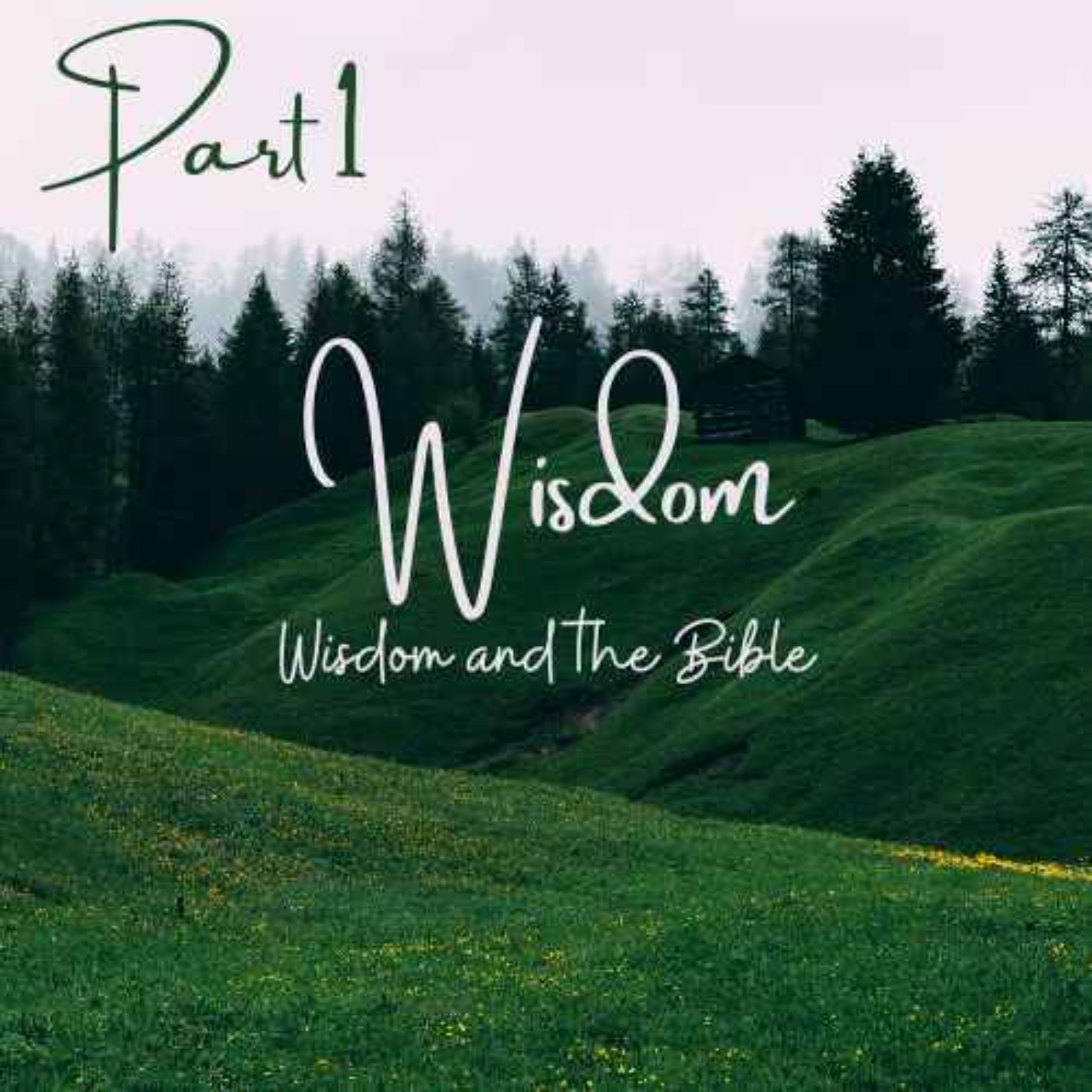 cover art for Wisdom and the Bible