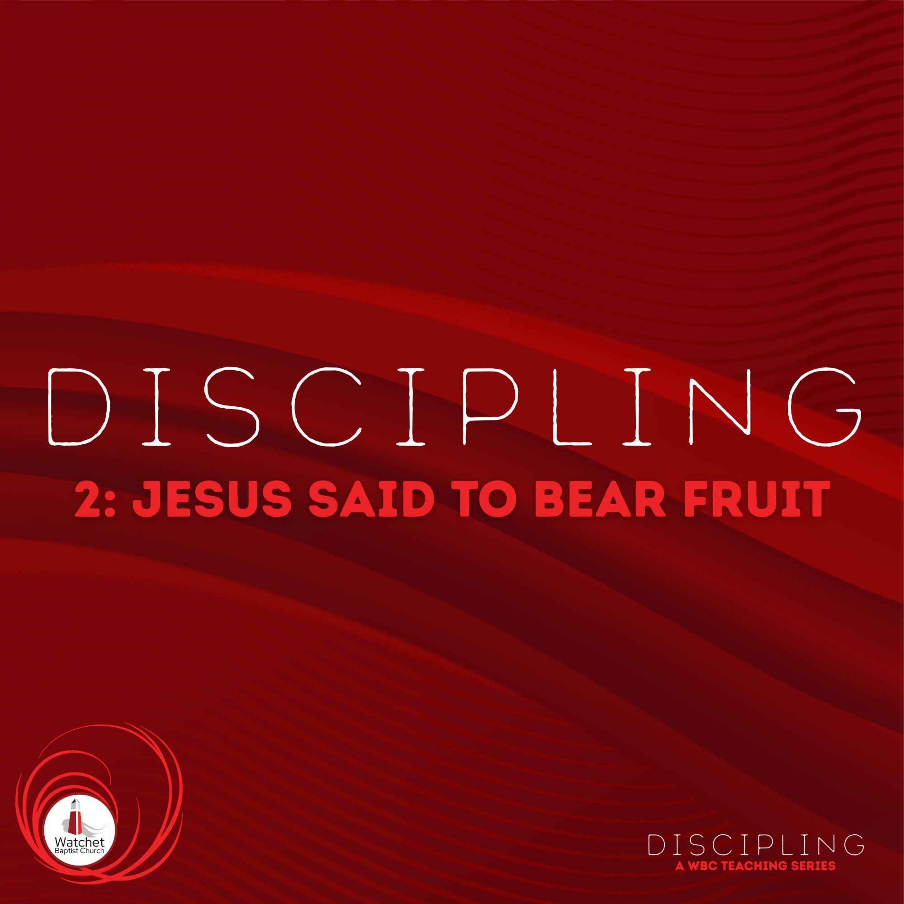 Jesus said to bear fruit episode artwork
