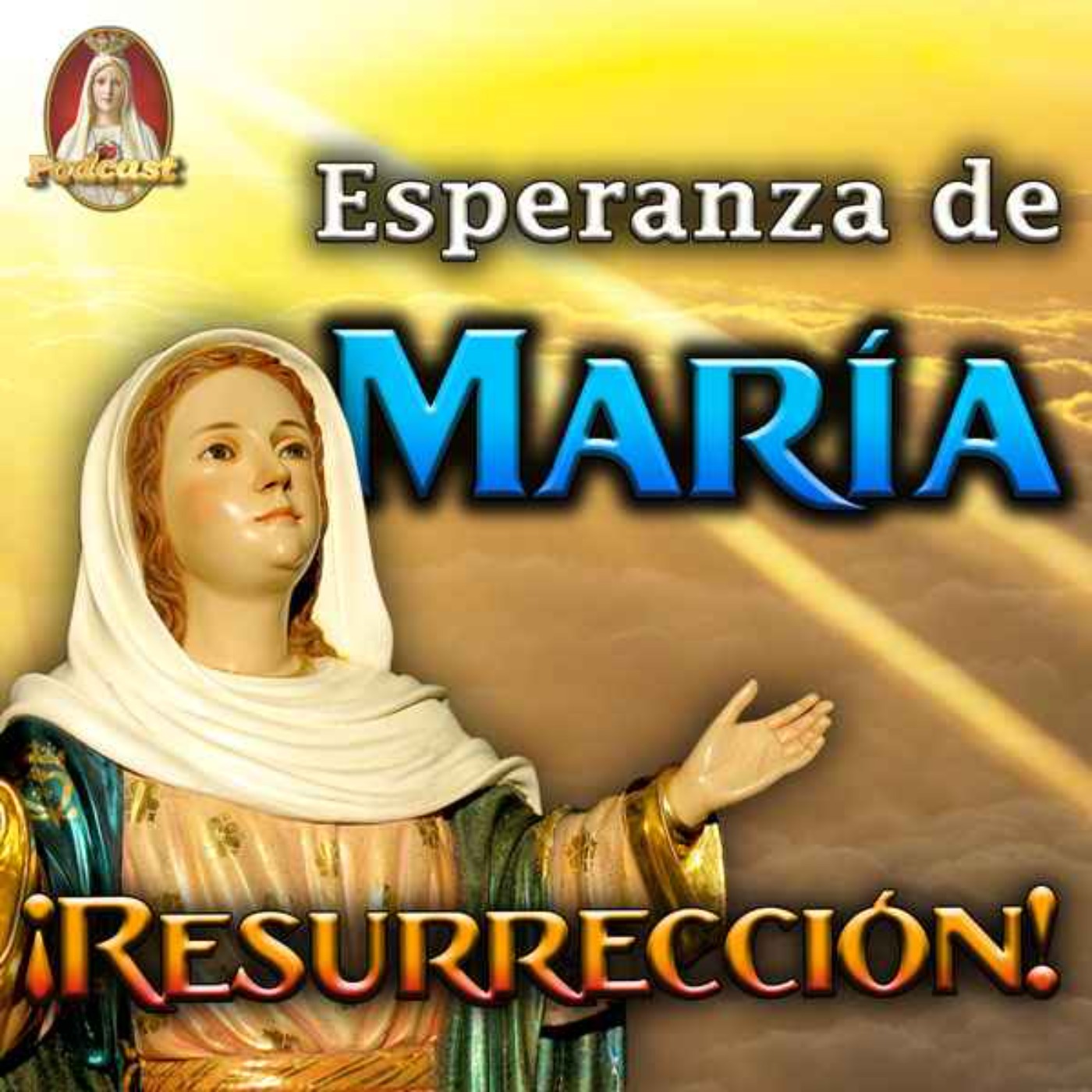 Conversando con los Caballeros de la Virgen -🎙️Podcast Católico🎧