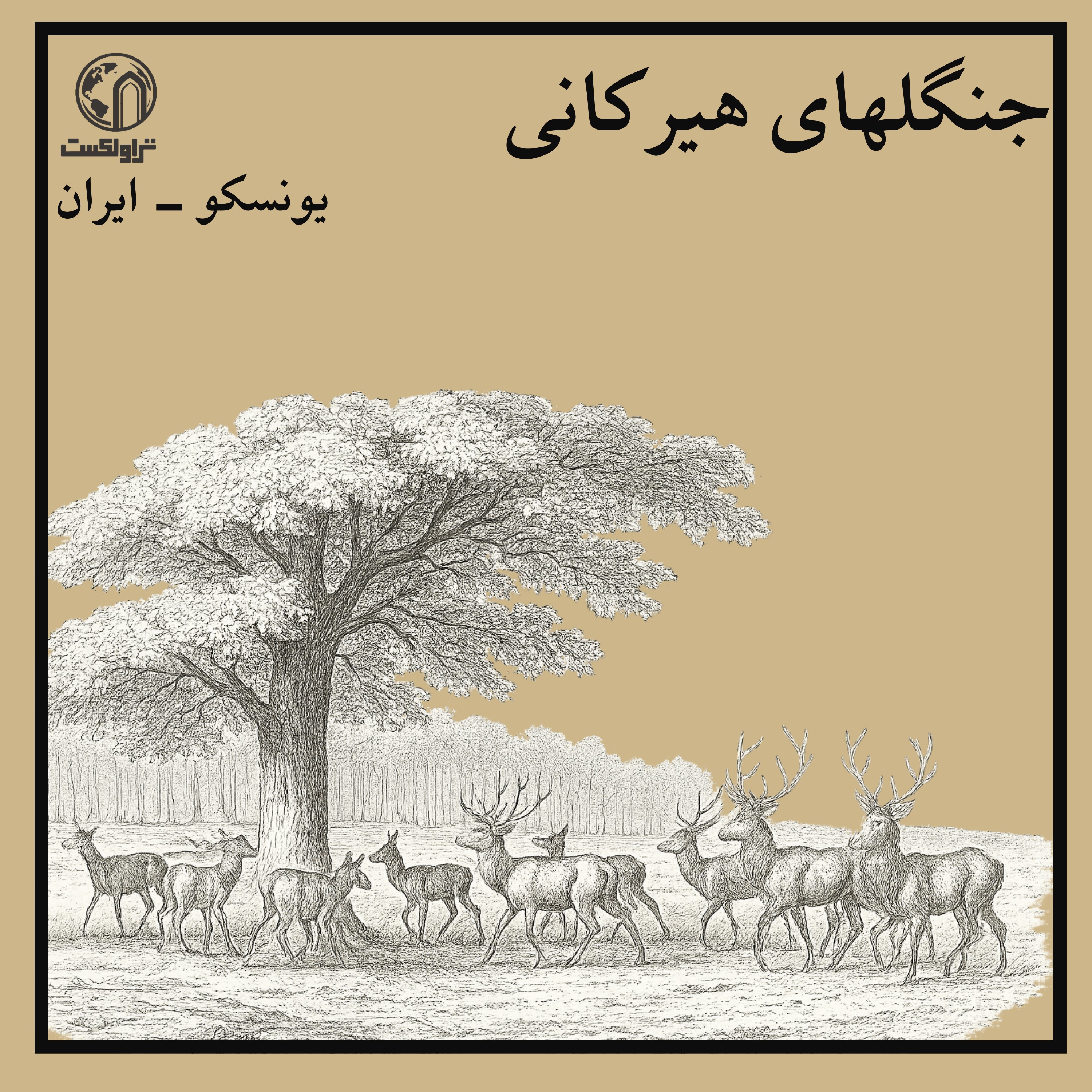 جنگل‌های هیرکانی ؛ فسیل زندهٔ زمین