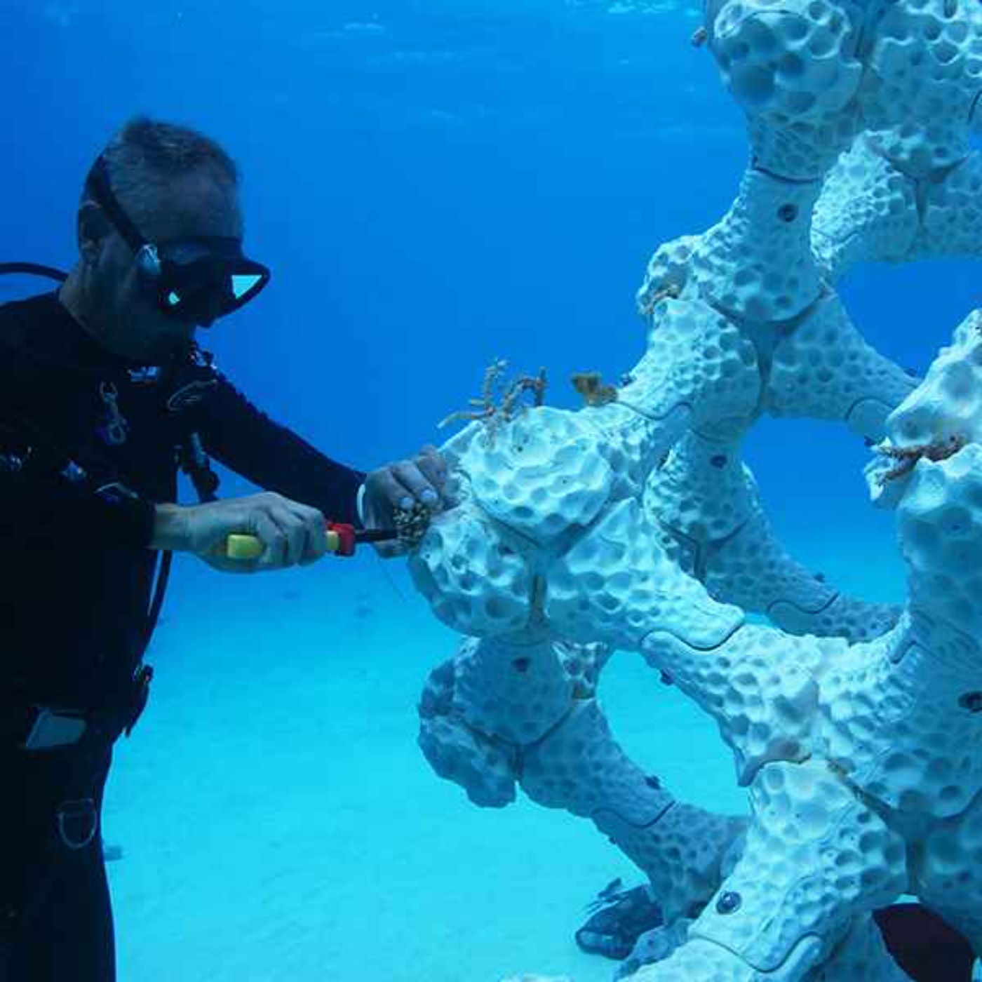 BUILD: Life Below Water