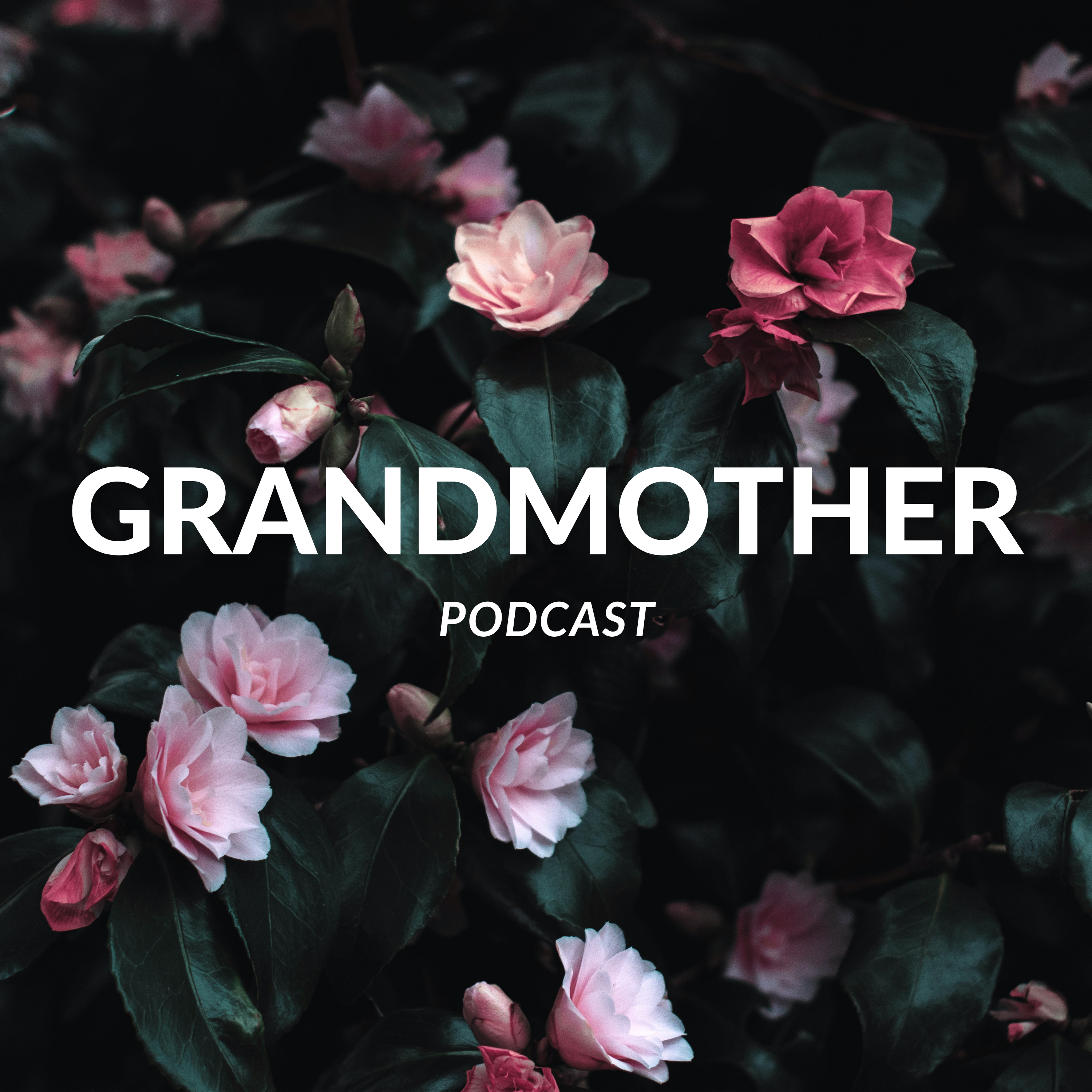 cover art for Grandmother Trailer