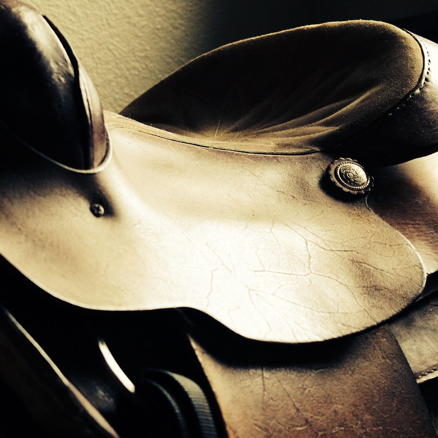 Joel Michalec Show #54: Back in the Saddle episode artwork