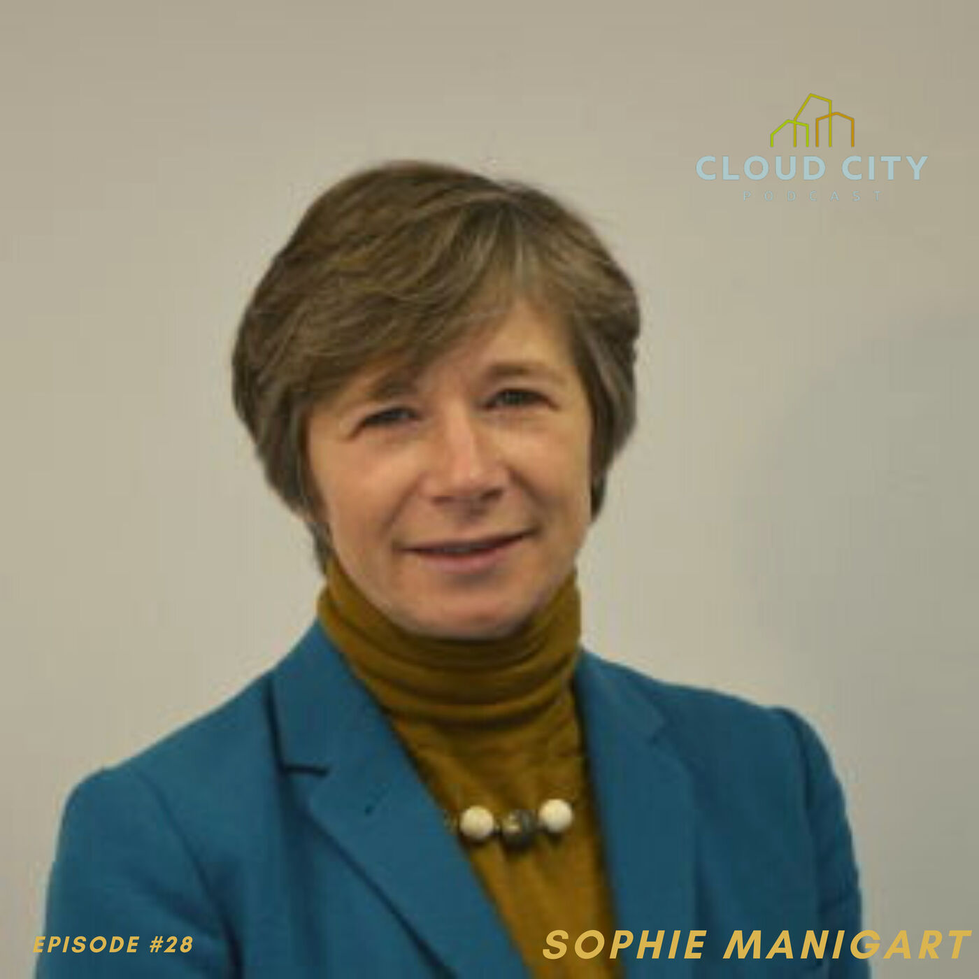 Sophie Manigart - faculty dean Vlerick Business School: business angel Sophie Manigart - faculty dean Vlerick Business School: business angel