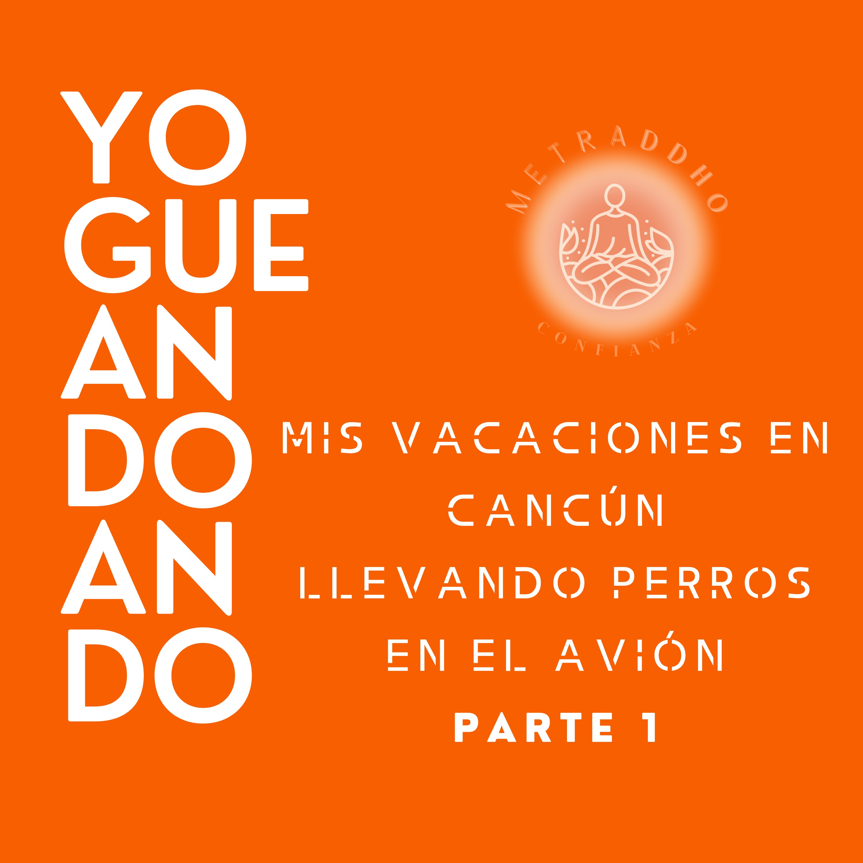 Portada de Yogueandoando