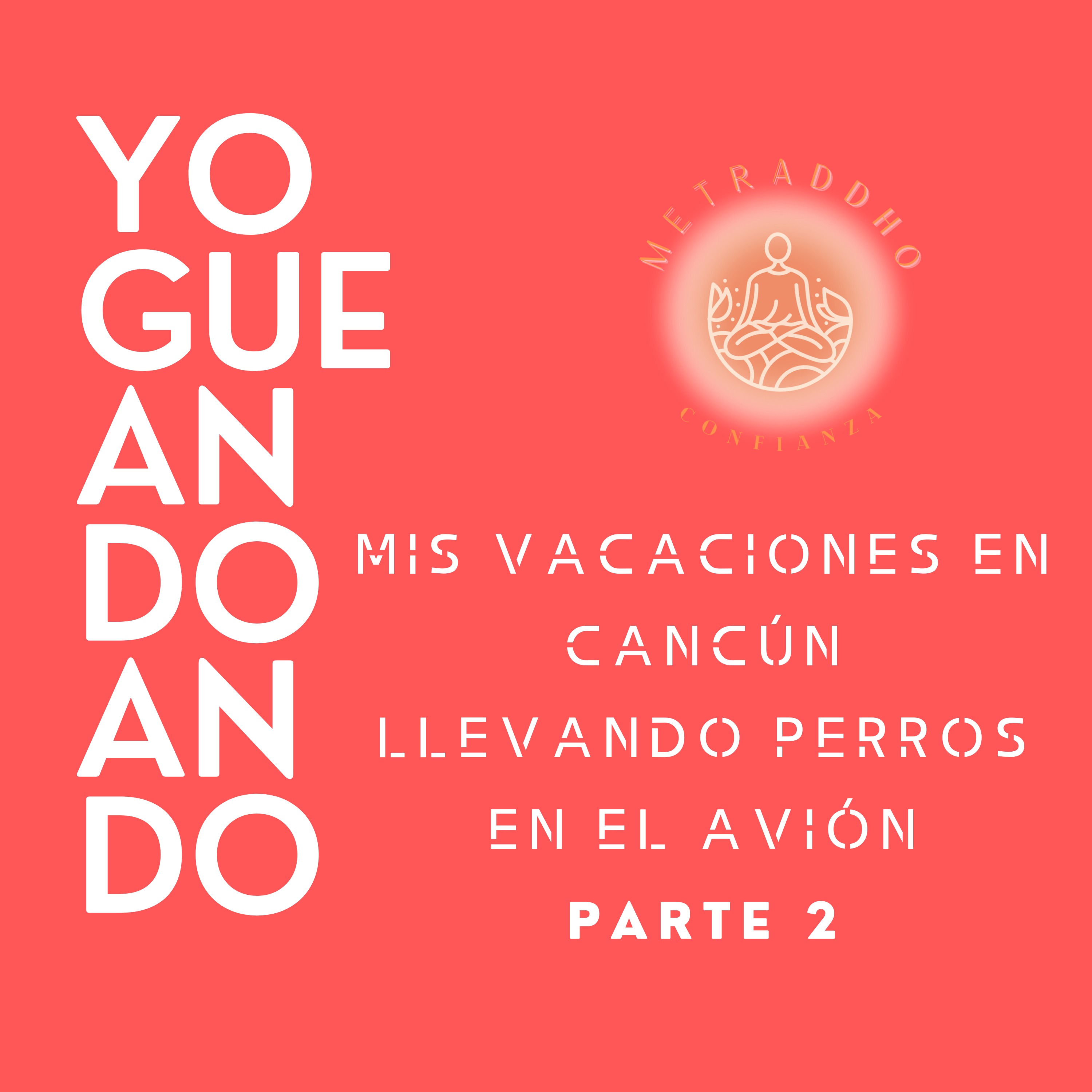 Portada de Yogueandoando