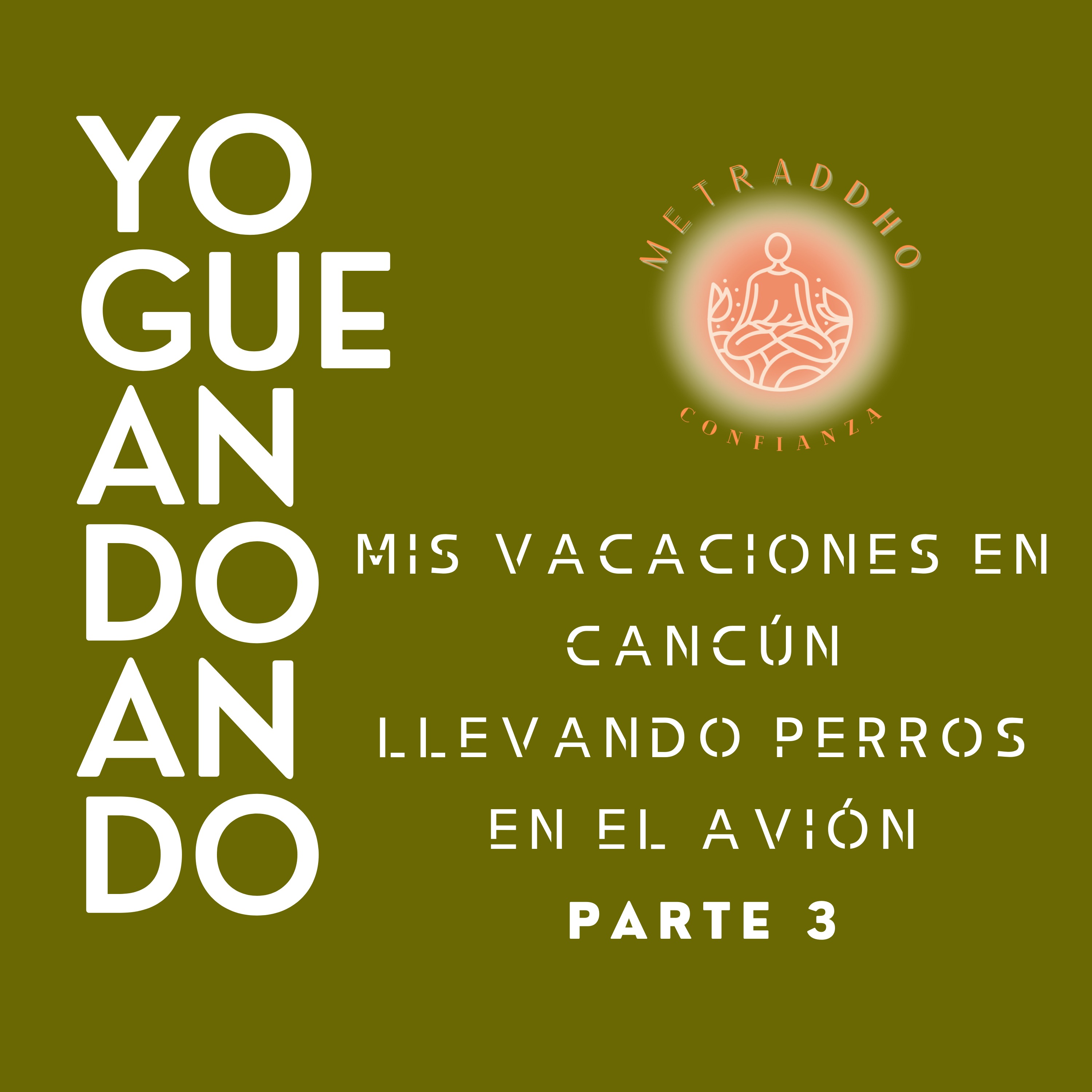Portada de Yogueandoando