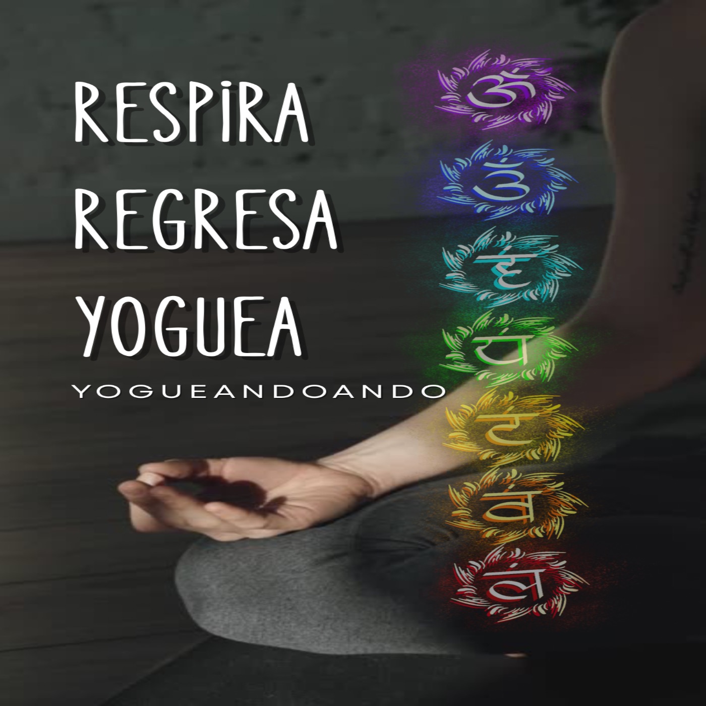 Portada de Yogueandoando