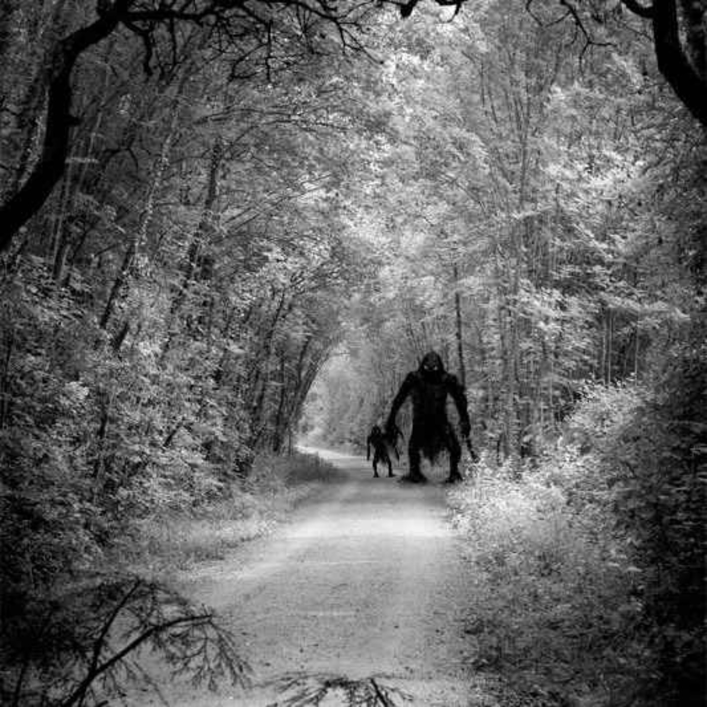 44 SCARY CAMPING HORROR STORIES