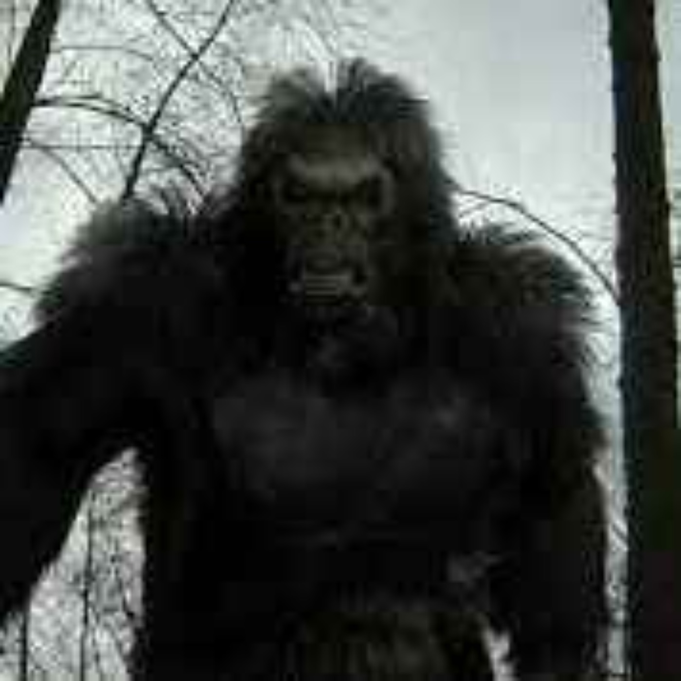 15 SCARY DOGMAN ENCOUNTER HORROR STORIES