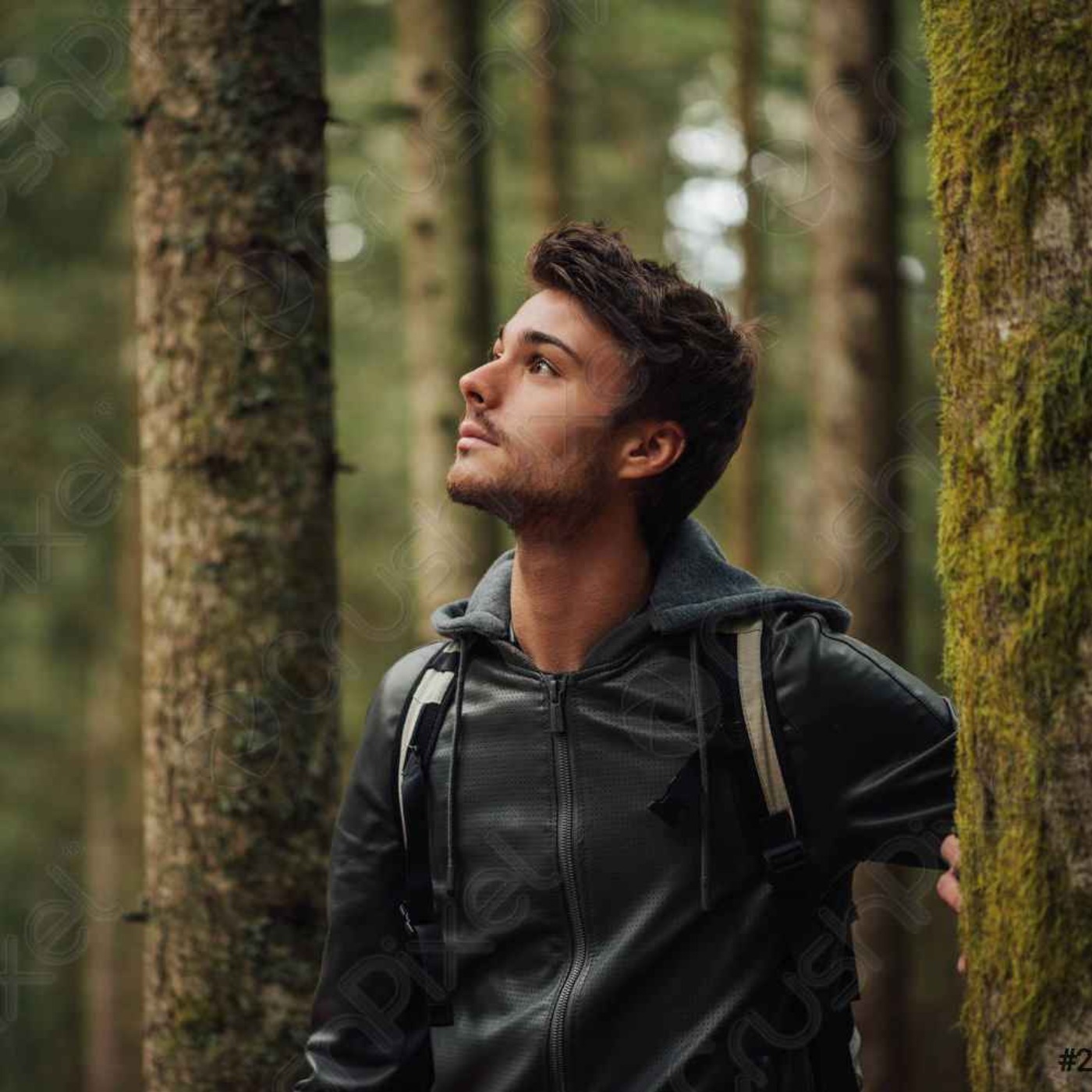 31 SCARY DEEP WOODS HORROR STORIES