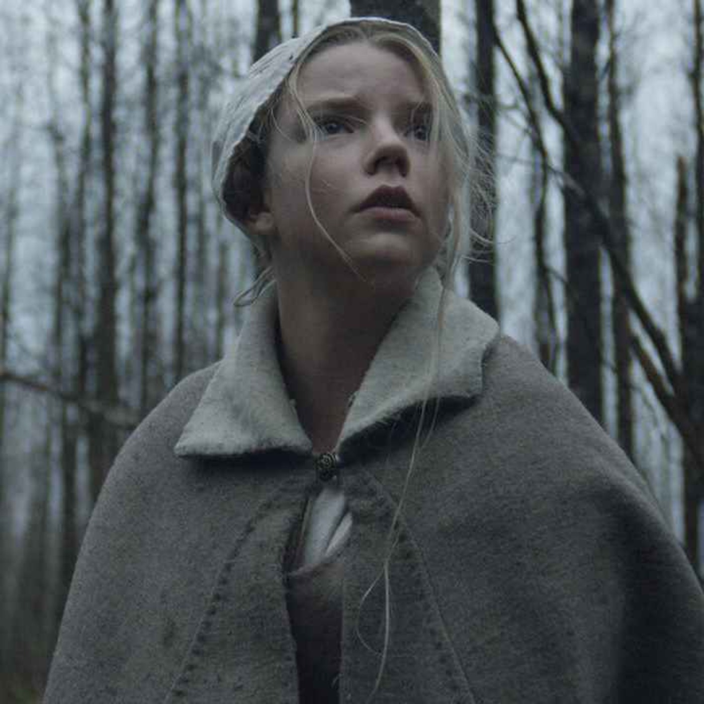 36 SCARY CAMPING HORROR STORIES