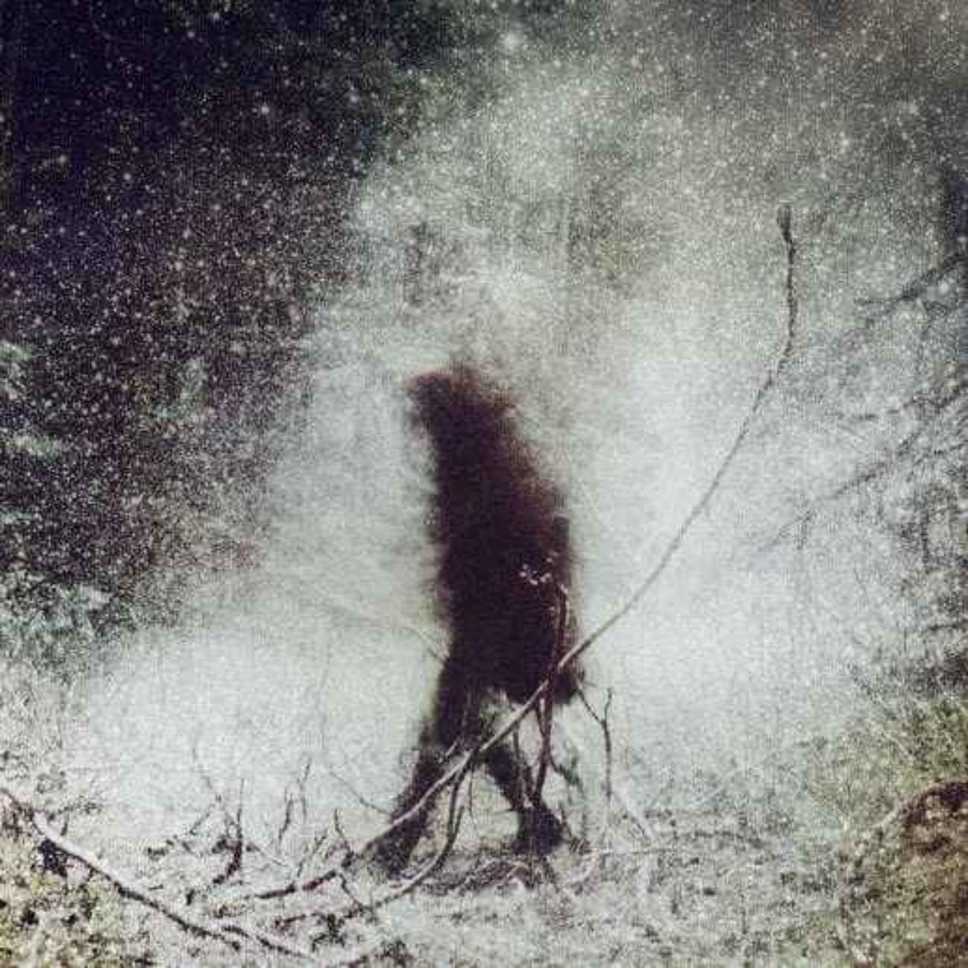 37 SCARY NATIONAL PARK HORROR STORIES