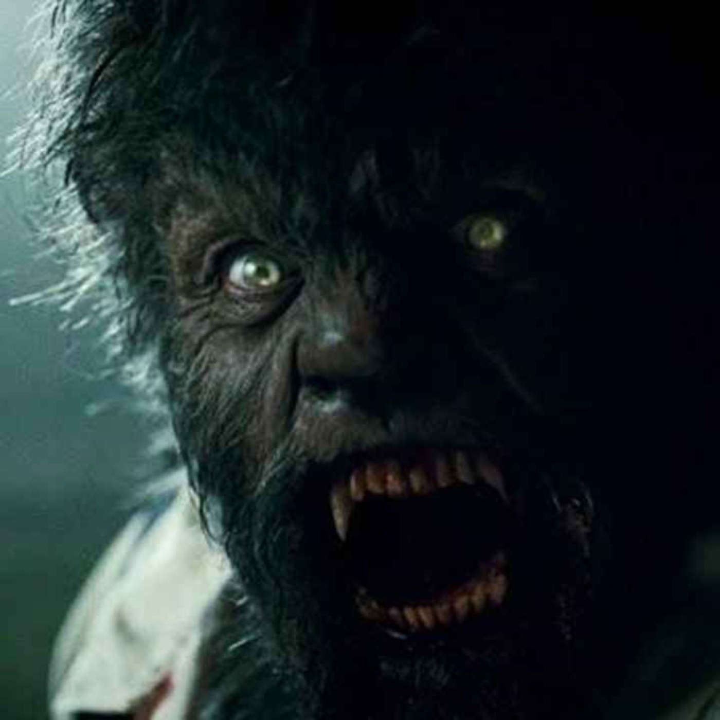 27 SCARY CREATURE ENCOUNTER HORROR STORIES