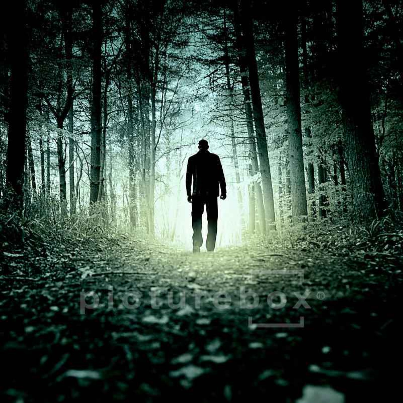 27 SCARY DEEP WOODS HORROR STORIES