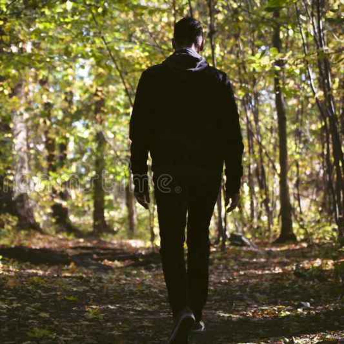 50 SCARY YOSEMITE CAMPING HORROR STORIES