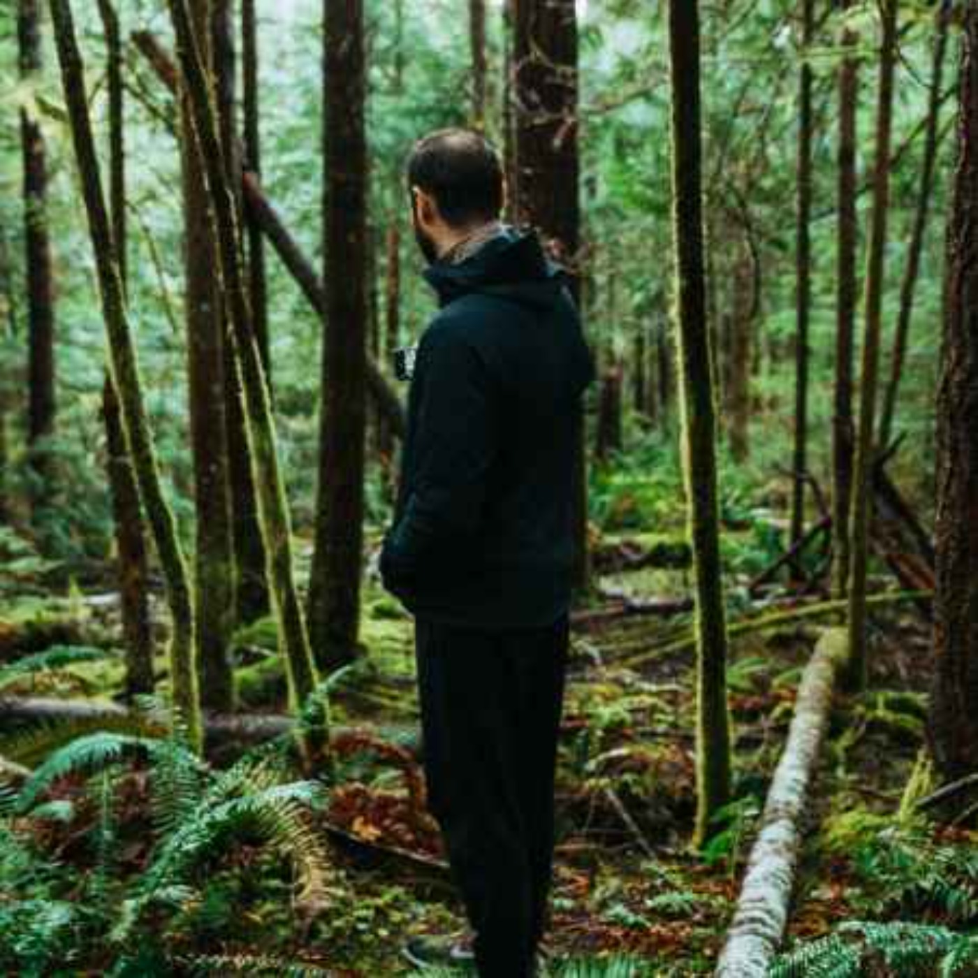 SCARY CAMPING HORROR STORIES