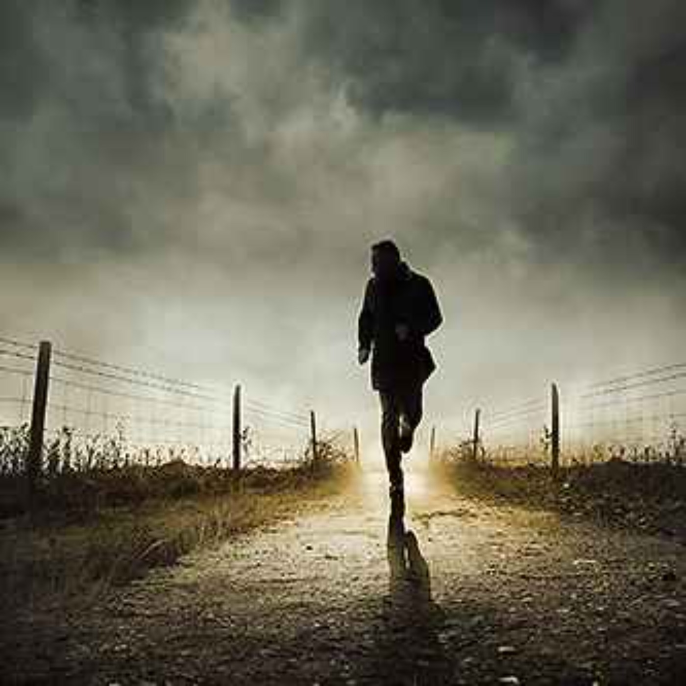 32 SCARY YELLOWSTONE CAMPING HORROR STORIES