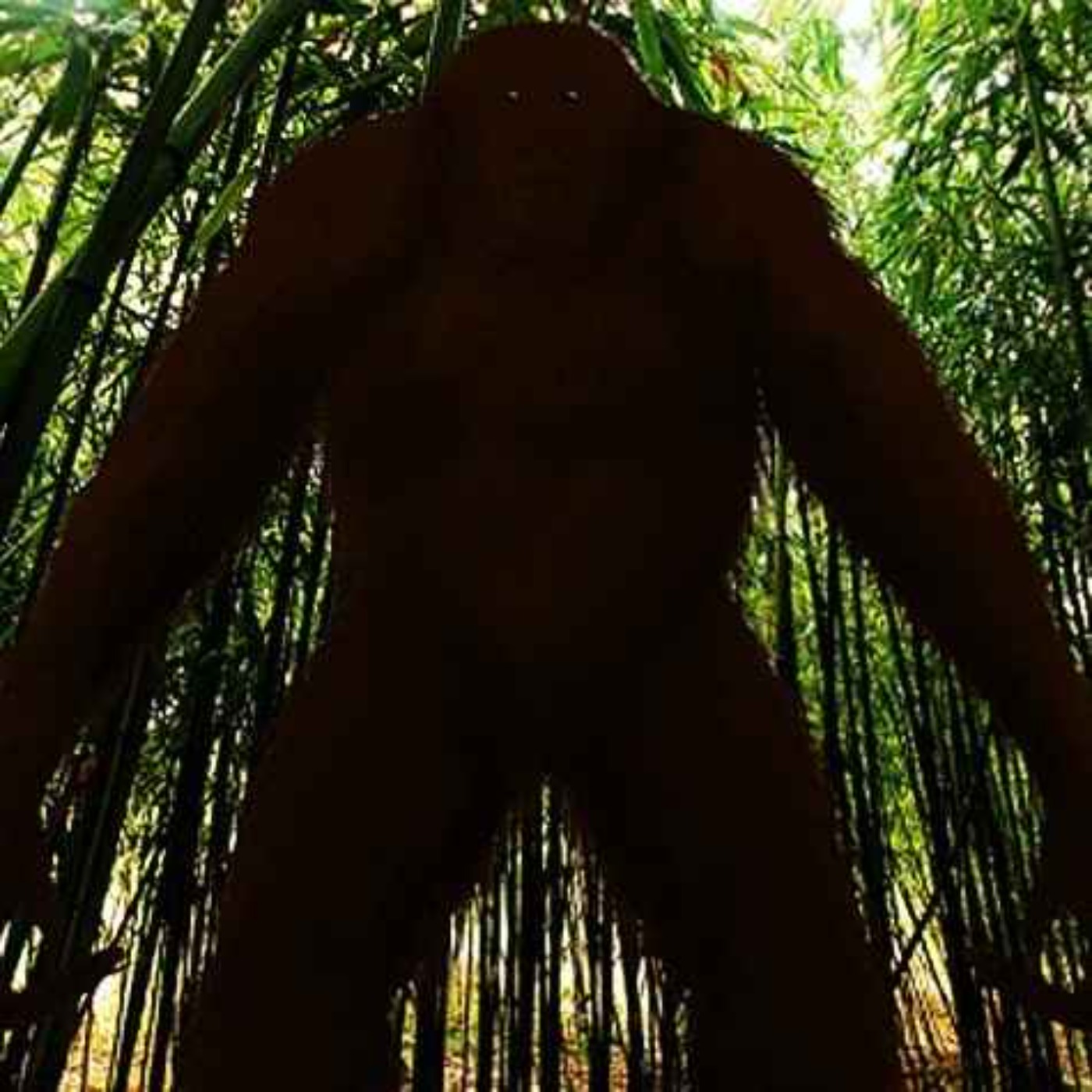 48 SCARY CAMPING HORROR STORIES