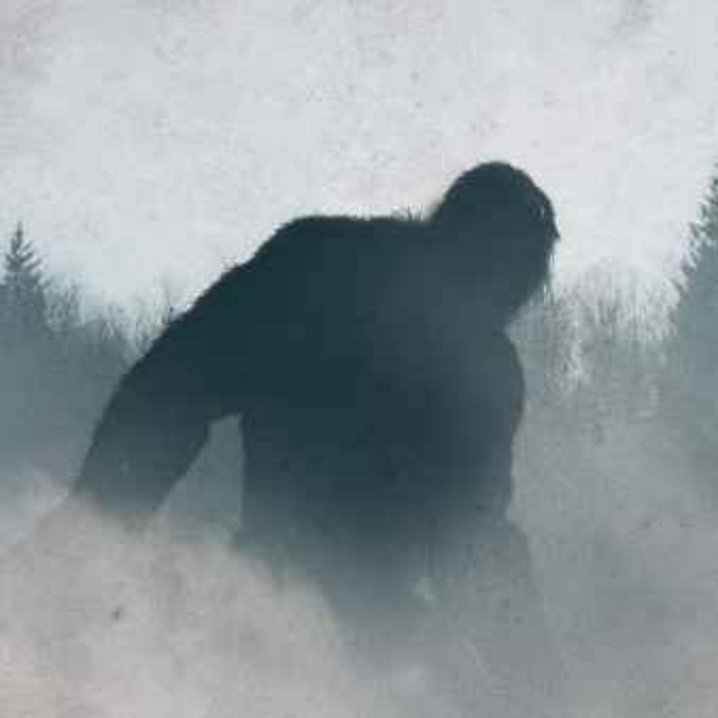 11 SCARY PARK RANGER HORROR STORIES