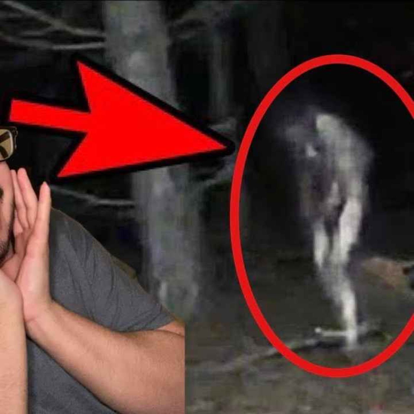 11 SCARY PARK RANGER HORROR STORIES