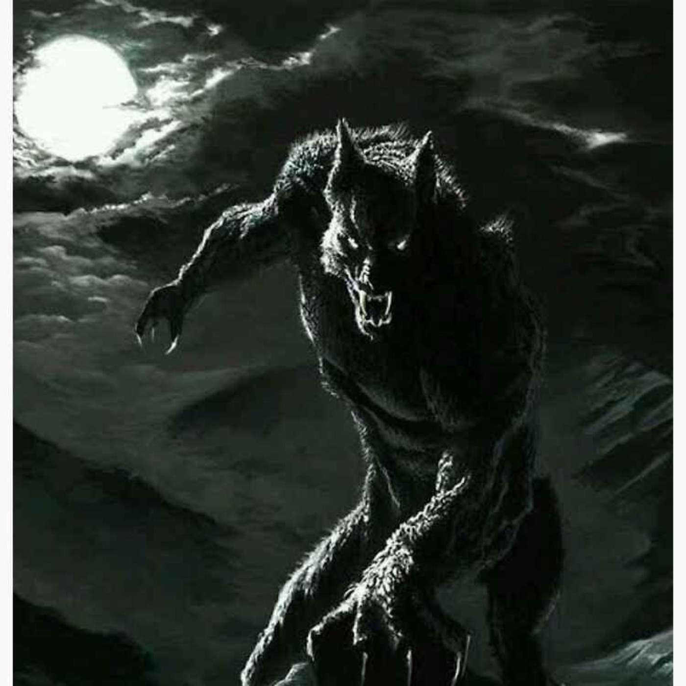 24 SCARY CRYPTID ENCOUNTER HORROR STORIES