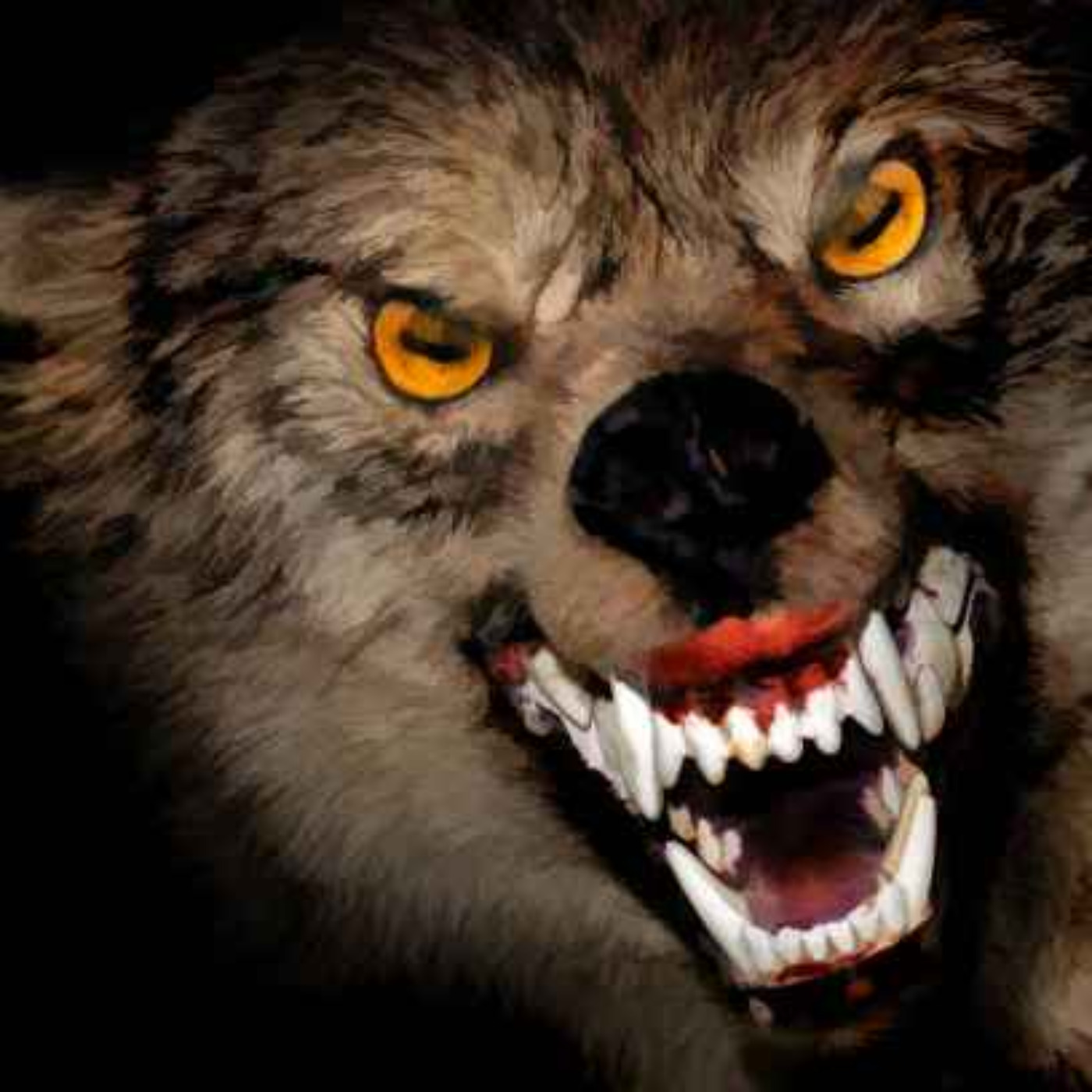 19 SCARY PARK RANGER HORROR STORIES