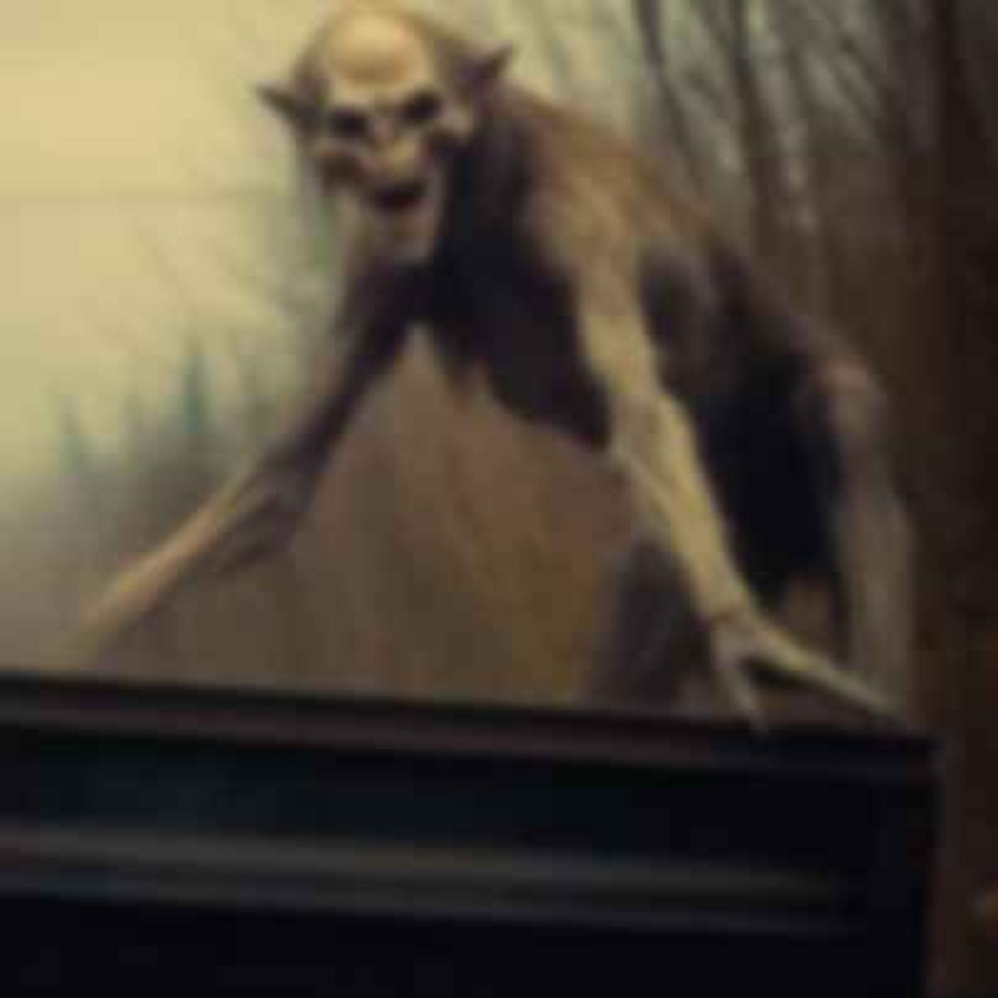 27 TRUE SCARY PARK RANGER HORROR STORIES