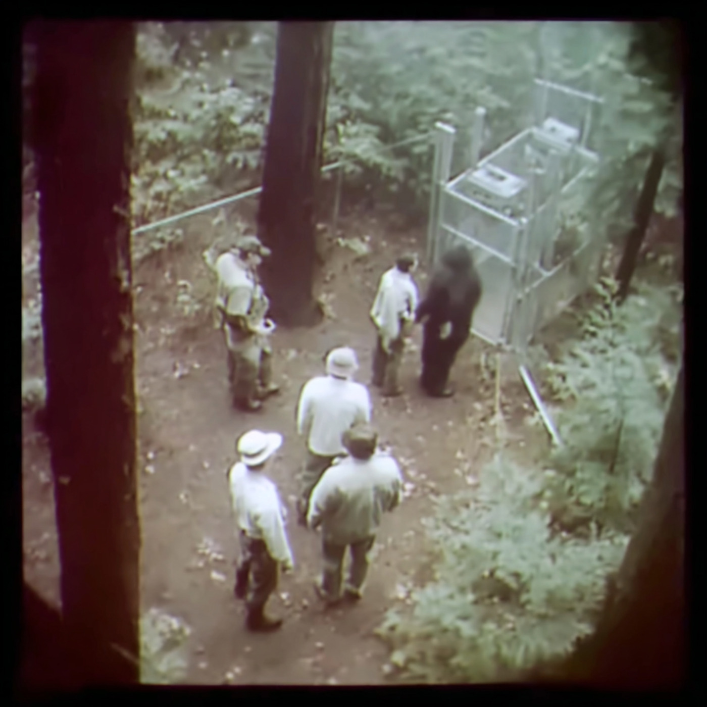 3 TRUE SCARY BIGFOOT ENCOUNTER HORROR STORIES