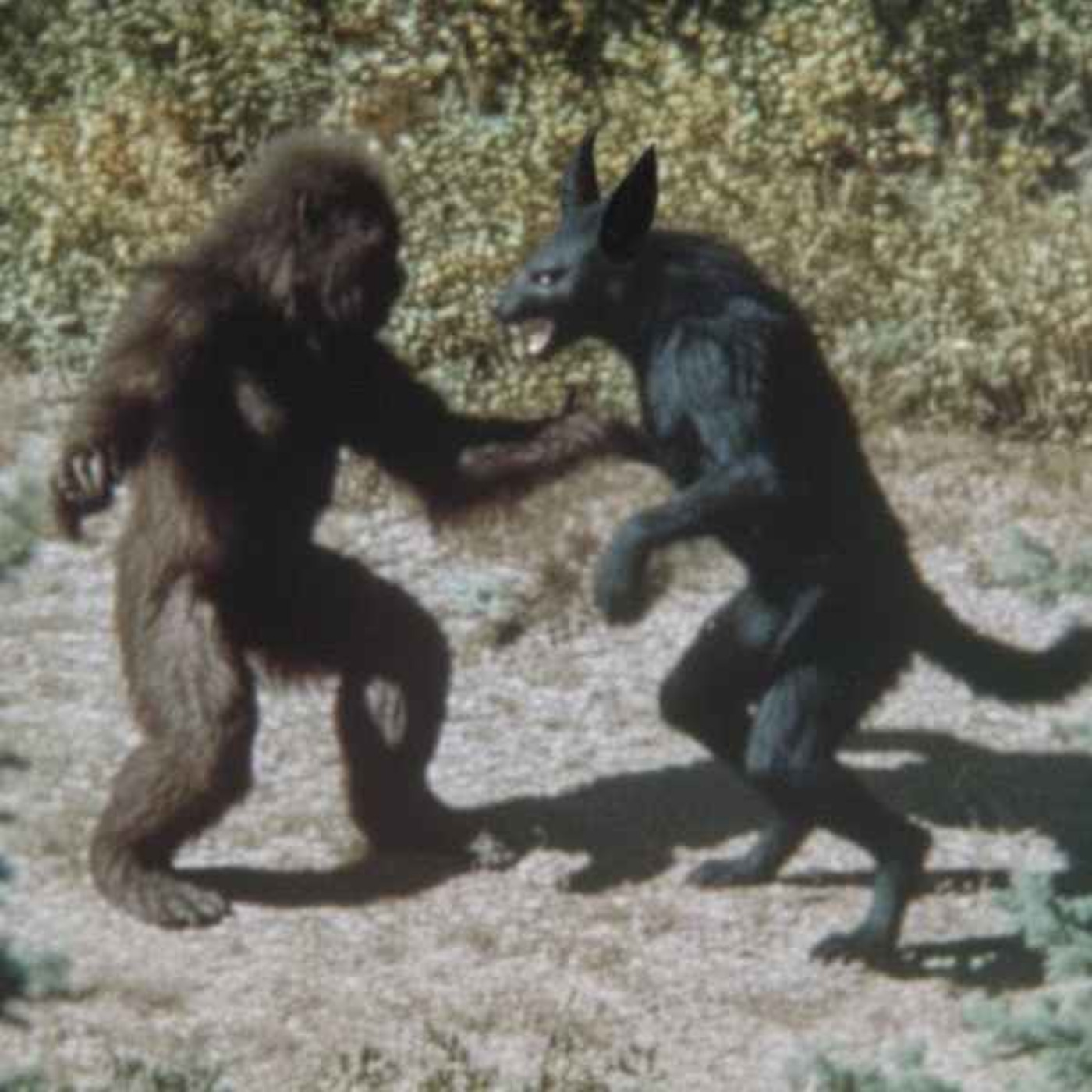 U.S. Government Hired Me to Hunt CRYPTIDS. What We Found in Alaska Shouldn’t Exist.