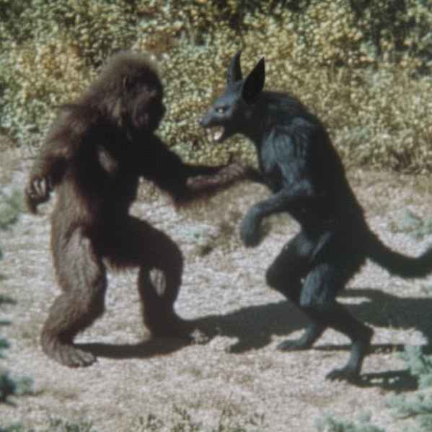 20 TRUE SCARY APPALACHIAN HORROR STORIES