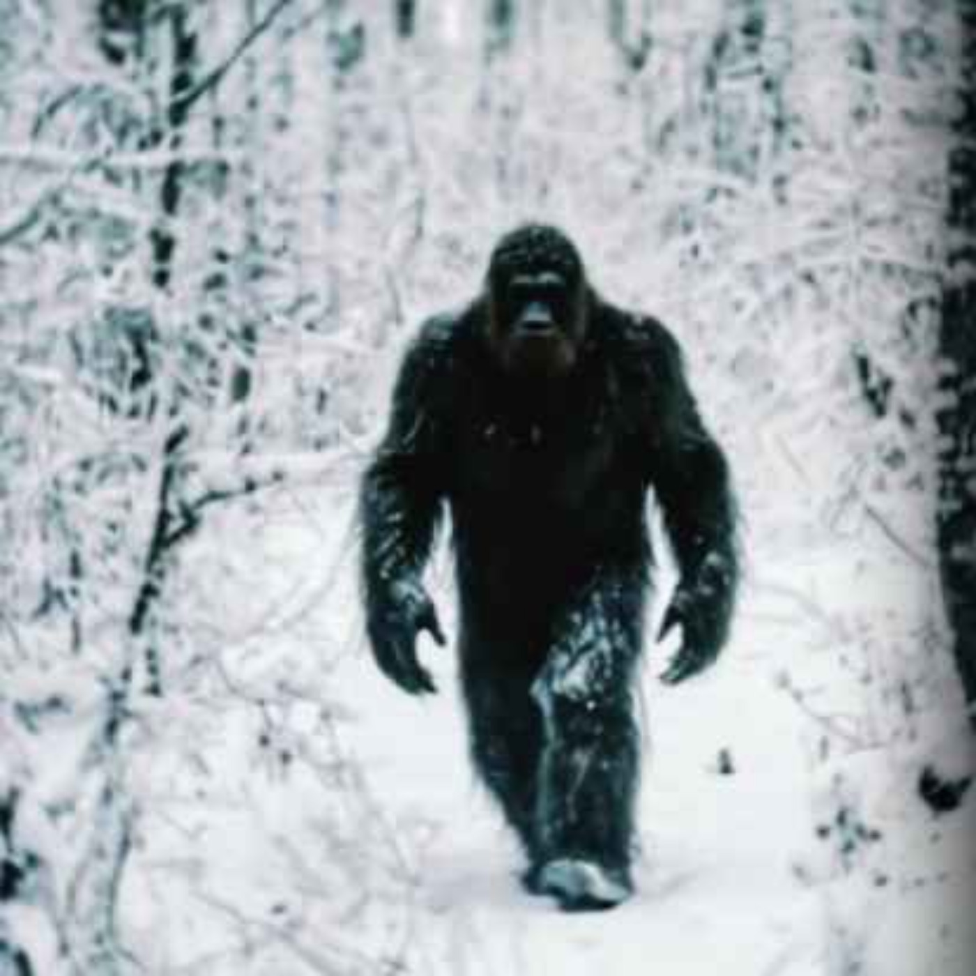 4 TRUE SCARY NATIVE AMERICAN HORROR STORIES