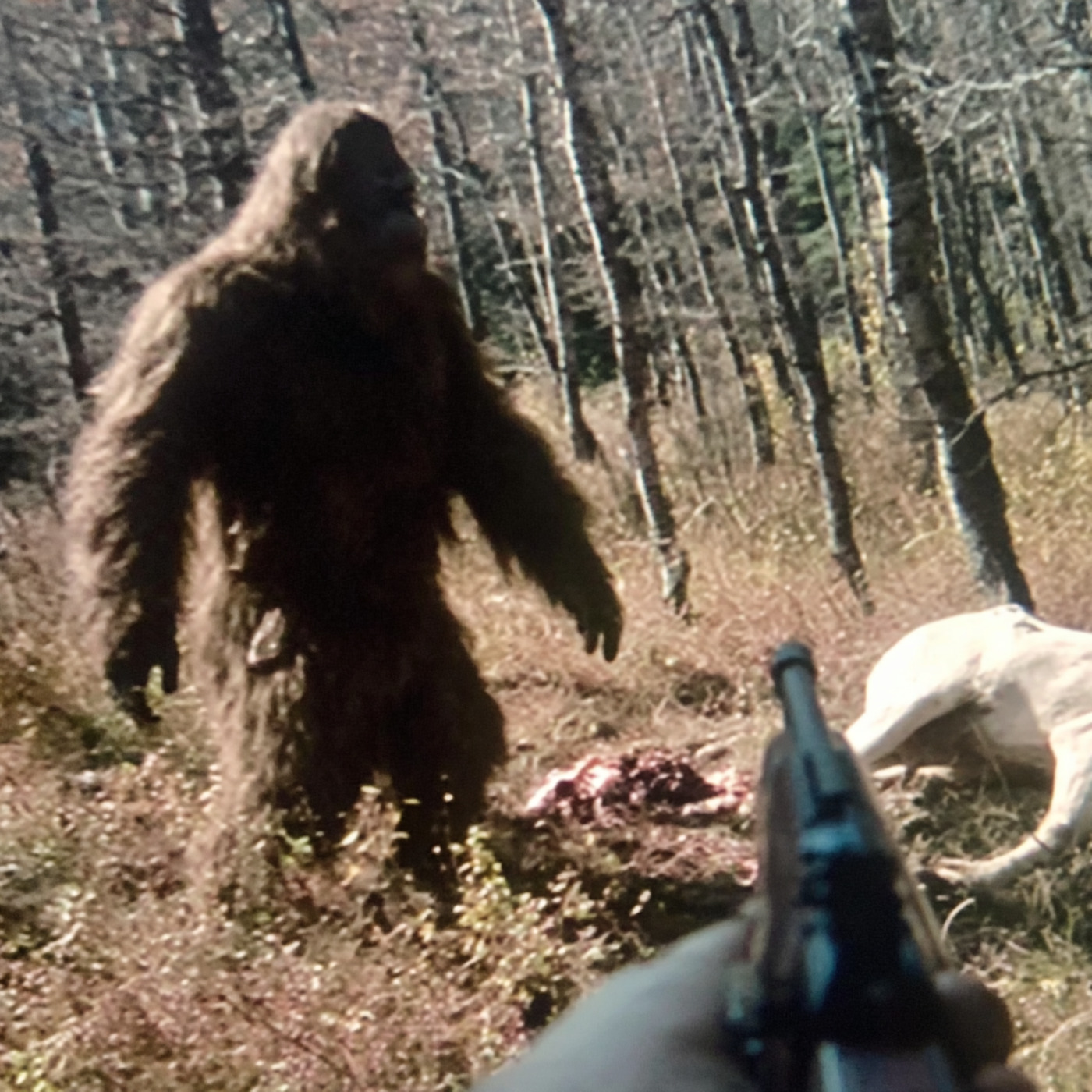 5 TRUE SCARY PARK RANGER HORROR STORIES