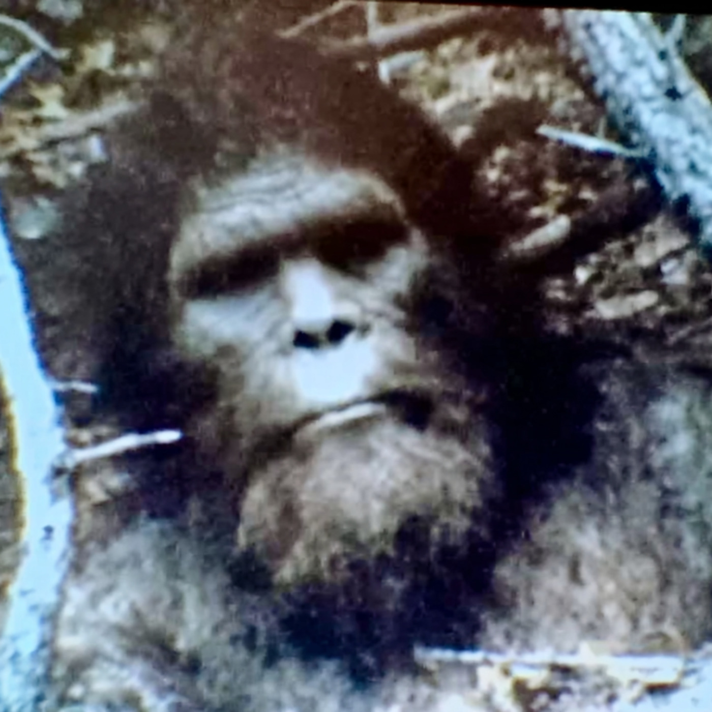 Navy SEALS Finally Spill the Beans on NEW SPECIES in our National Parks