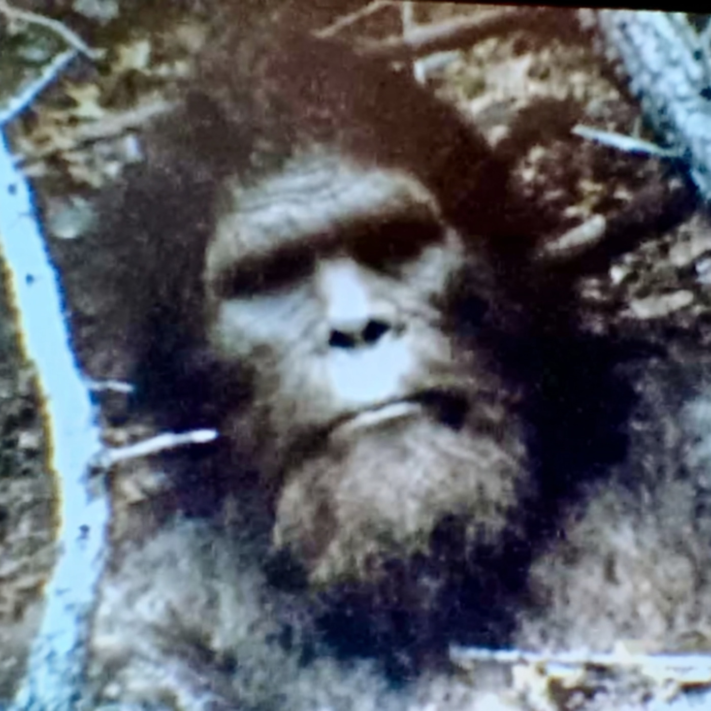 I'm a Cryptid HITMAN, Stay Far Away From the Mesa Verde National Park, Colorado