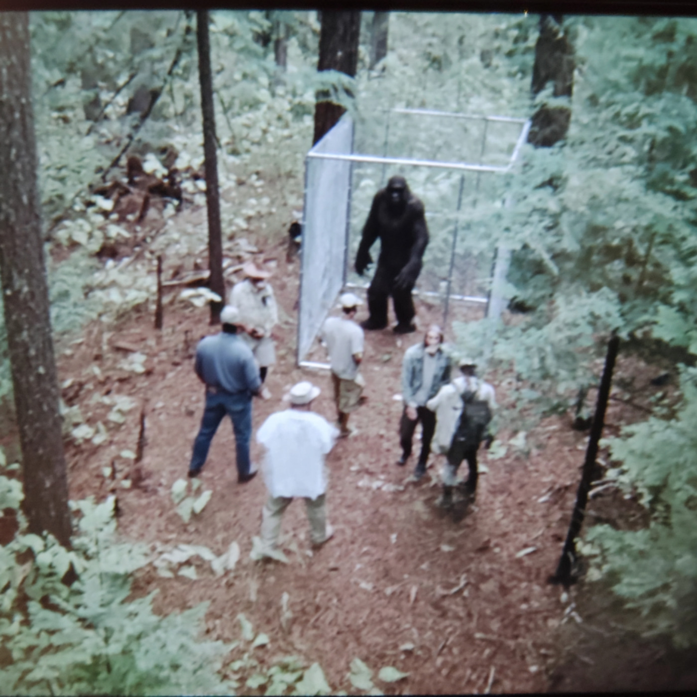 Navy SEALS Finally Spill the Beans on NEW SPECIES in APPALACHIAN MOUNTAINS