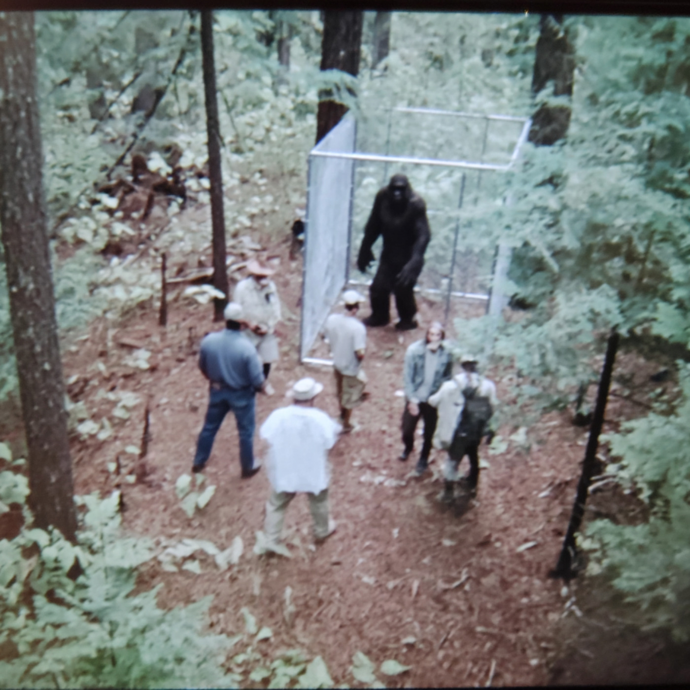 Gov't CAN'T EXPLAIN What's Happening At Glacier National Park