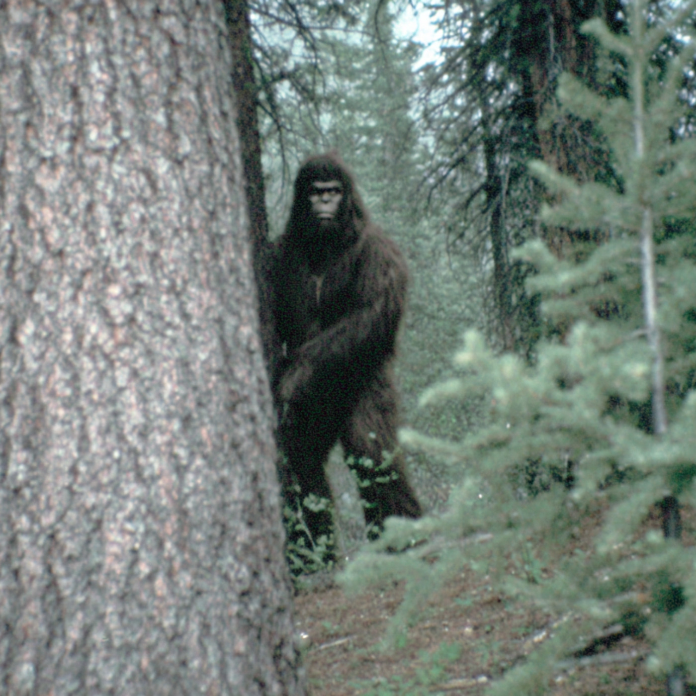 ALIENS UNDER THE WATER. A Fisherman’s Lake Michigan Nightmare
