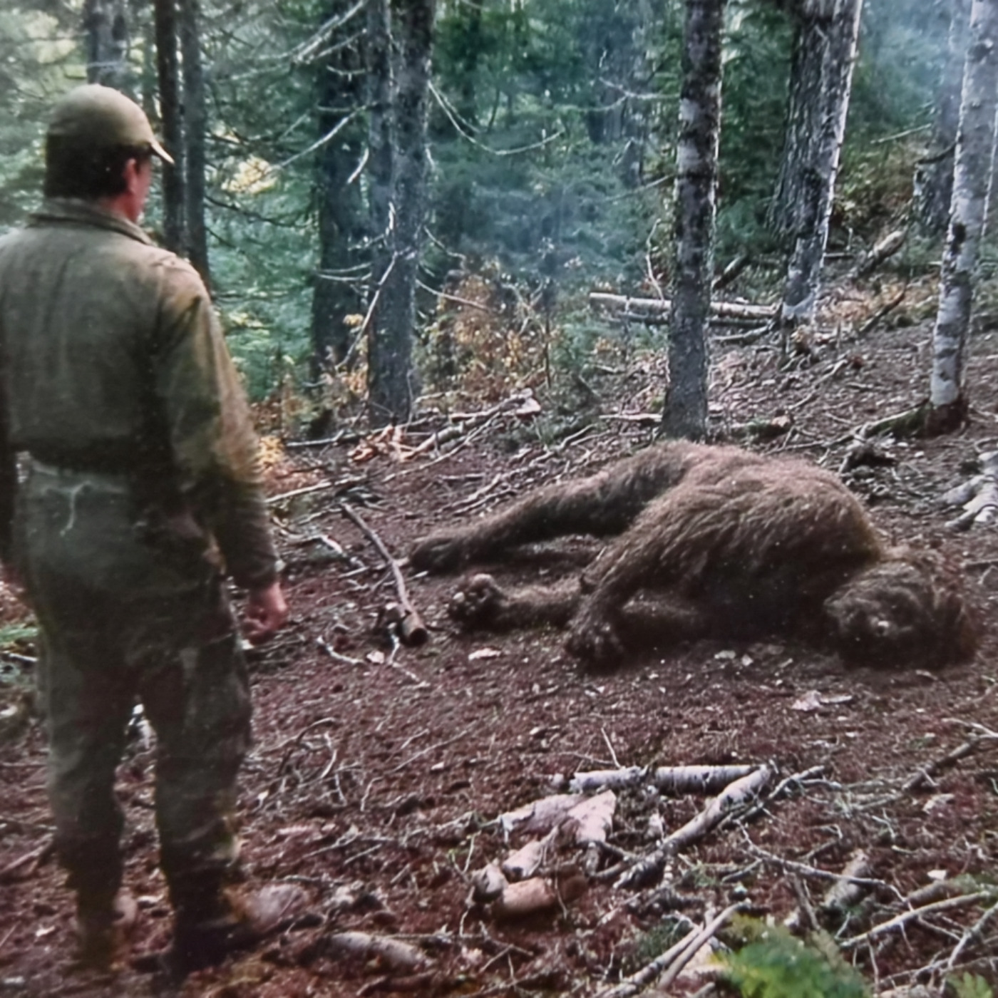 US Gov't WARNS. Feral People Are REAL And They’re LIVING in THESE Mountains