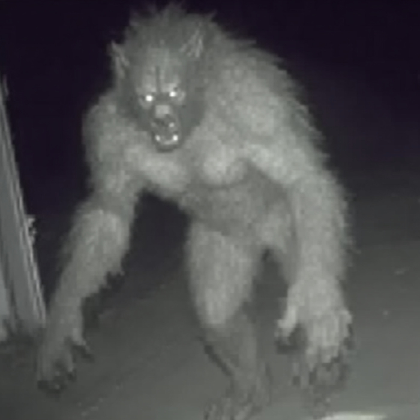 NEW Evidence of a CREATURE in the North Carolina Mountains NEW Evidence of a CREATURE in the North Carolina Mountains