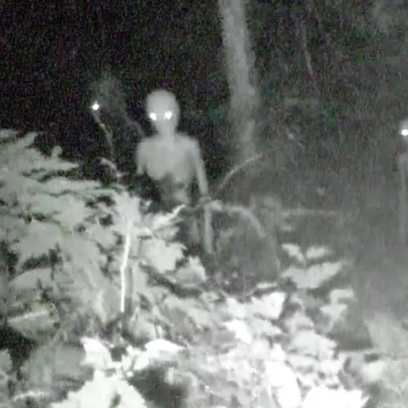 U.S Navy SEAL Warns Of NEW SPECIES