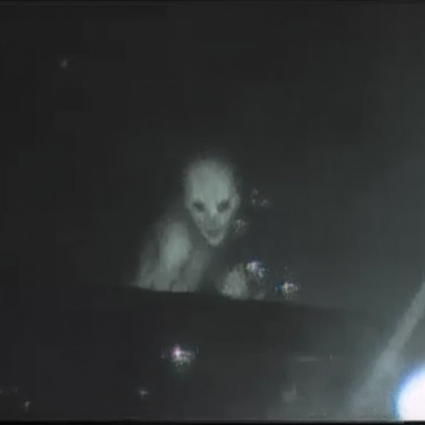 These CREATURES Are Hunting Humans in the Redwoods