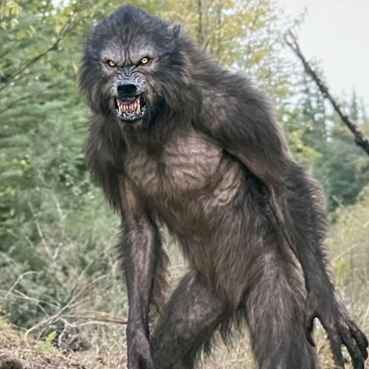 U.S Navy SEALS Spills the Beans about Creatures They Killed In North Carolina Mountains