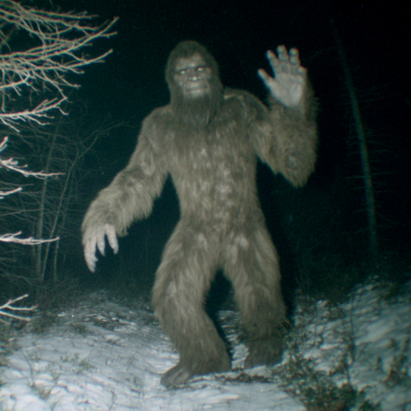 Navy SEALS FINALLY REVEAL What They KILLED In NORTH CAROLINA