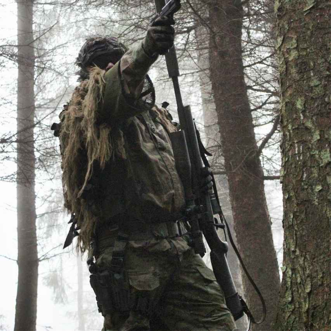 3 Park Rangers Set Up Trail Cameras in Appalachians. Something Stared Into Every Single