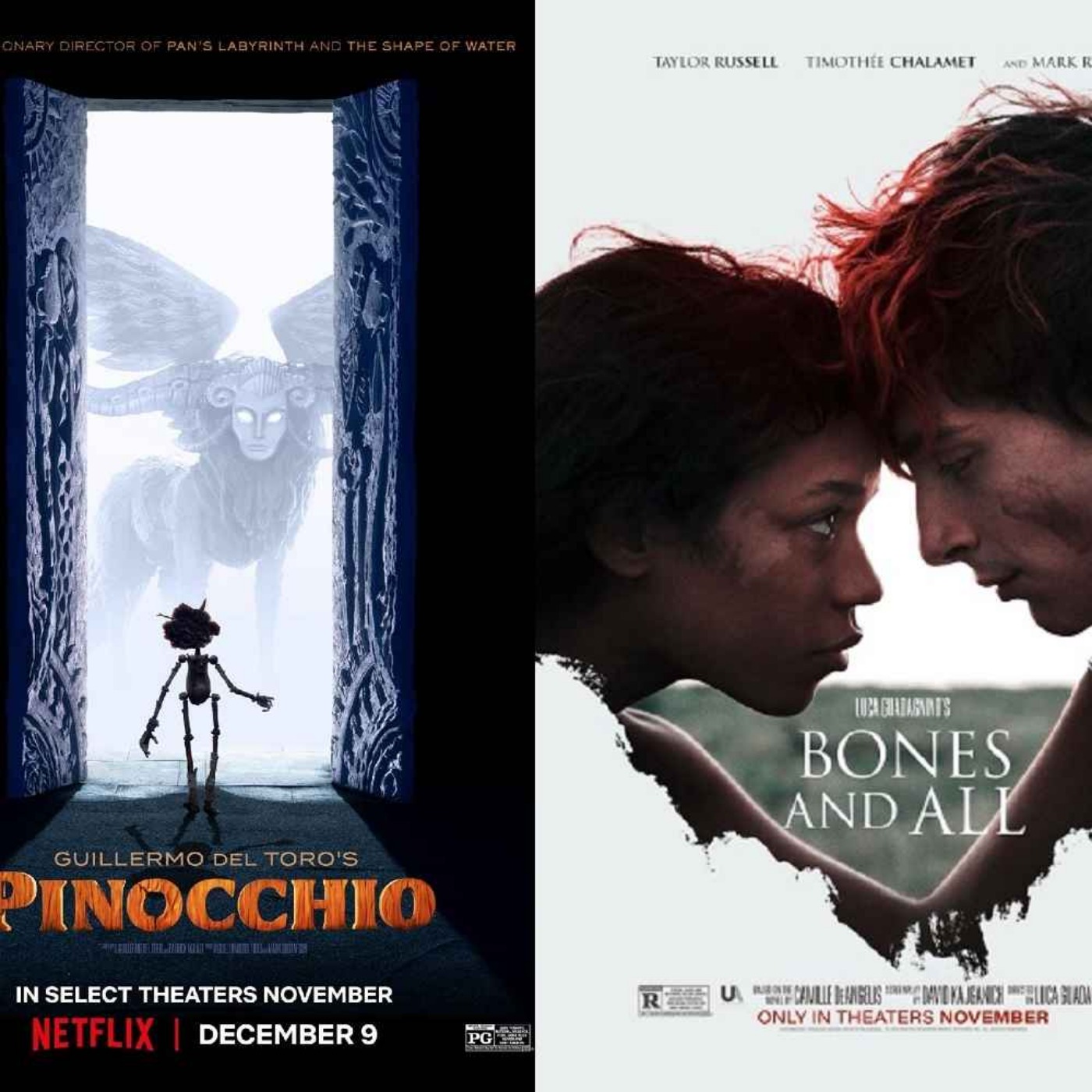 This Week's Releases - "GDT's Pinocchio" and "Bones and All"
