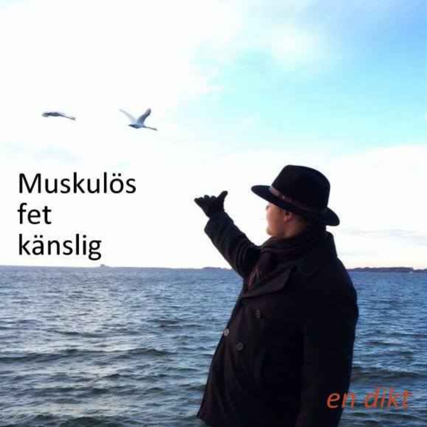 Muskulös, fet och känslig episode artwork