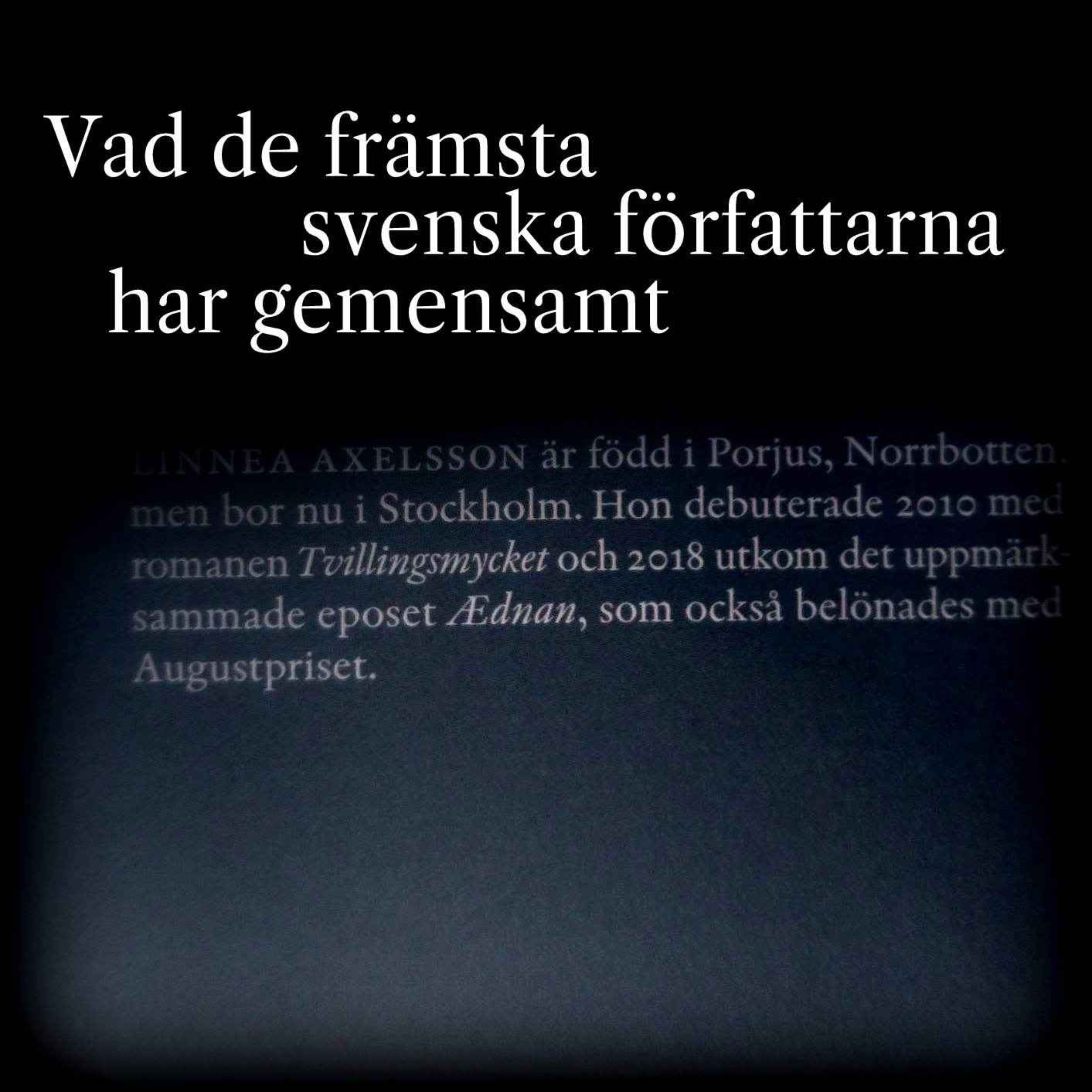 Vad de främsta svenska författarna har gemensamt episode artwork