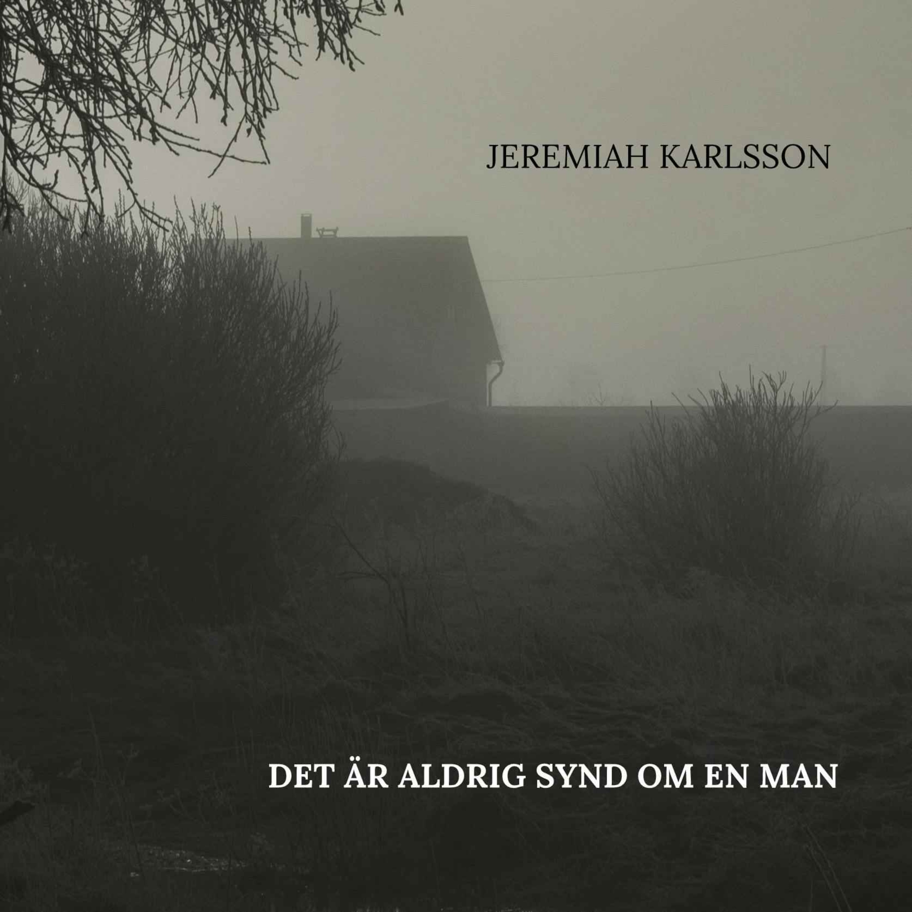 Det är aldrig synd om en man episode artwork